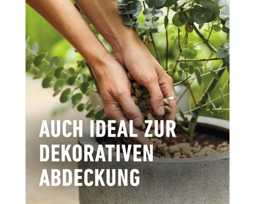 Dekorative Abdeckung mit Kieselsteinen in Pflanzgefäß