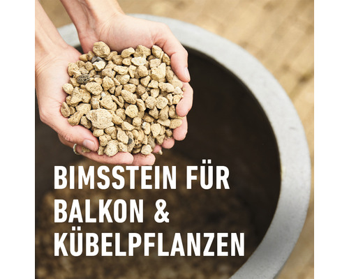 Hände halten Bimsstein für Balkon- und Kübelpflanzen