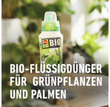 Grünpflanzen- & Palmendünger Compo Bio 500 ml-thumb-7