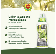 Grünpflanzen- & Palmendünger Compo Bio 500 ml-thumb-2