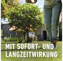 Eine Person bringt Rasensamen auf einer Rasenfläche aus.
