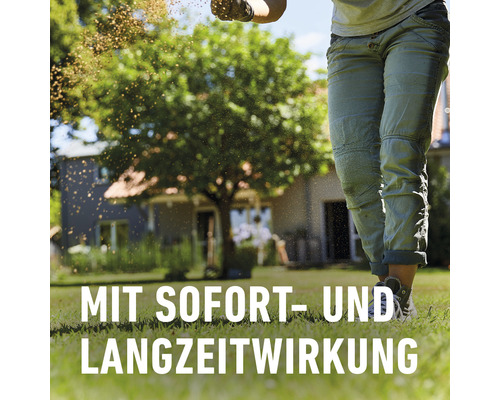 Eine Person bringt Rasensamen auf einer Rasenfläche aus.