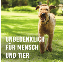 Ein Hund läuft auf einer Rasenfläche. Der Text im Bild lautet: Unbedenklich für Mensch und Tier.