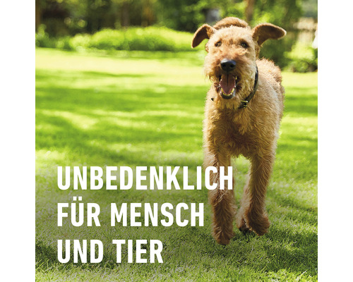 Ein Hund läuft auf einer Rasenfläche. Der Text im Bild lautet: Unbedenklich für Mensch und Tier.