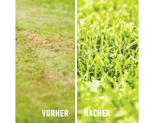 Vorher-Nachher-Vergleich eines Rasens