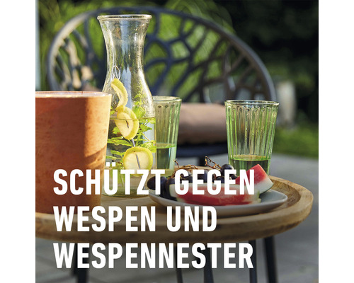 Szene mit Getränkekaraffe, Gläsern und Obst auf einem Tisch im Freien