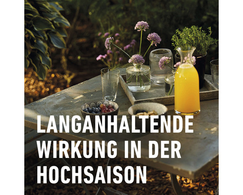 Gedeckter Tisch im Garten mit Getränken, Blumen und Snacks