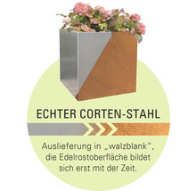 Blumenkasten aus Cortenstahl mit Pflanzen