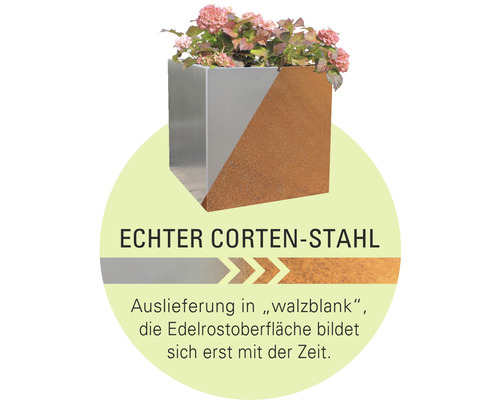 Quadratischer Pflanzkübel aus Cortenstahl mit Pflanzen