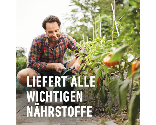 Mann gießt Pflanzen im Garten mit einer Gießkanne. Der Text lautet: Liefert alle wichtigen Nährstoffe.