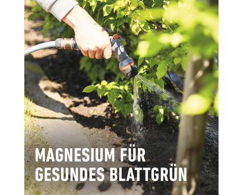 Eine Person bewässert Pflanzen mit einem Gartenschlauch.