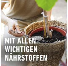 Pflanzenerde mit Nährstoffen in einem Korb