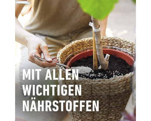 Pflanzenerde mit Nährstoffen in einem Korb