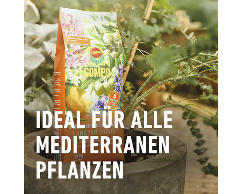 COMPO Mediterrane Pflanzenerde im Sack