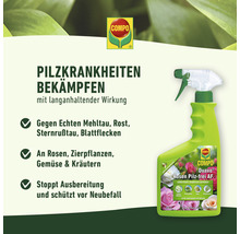 Compo Duaxo Rosen Pilzfrei AF zur Bekämpfung von Pilzkrankheiten an Rosen, Zierpflanzen, Gemüse und Kräutern