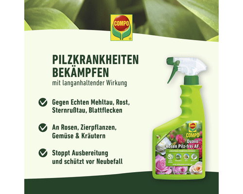 Compo Duaxo Rosen Pilzfrei AF zur Bekämpfung von Pilzkrankheiten an Rosen, Zierpflanzen, Gemüse und Kräutern