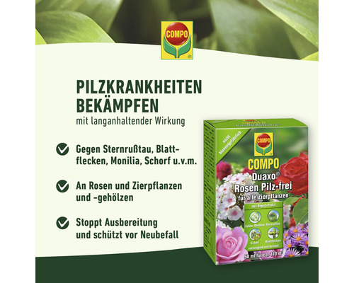 Compo Duaxo Rosen Pilz-frei zur Bekämpfung von Pilzkrankheiten bei Rosen und Zierpflanzen