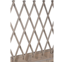 Hochbeet auf Stelzen dobar inkl. Rankgitter rollbar 79 x 28,5 x 130 cm grau-thumb-3 Hochbeet auf Stelzen dobar inkl. Rankgitter rollbar 79 x 28,5 x 130 cm grau-thumb-3