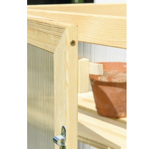 Detailansicht eines Gewächshauses aus Holz mit Regalen und einem Blumentopf