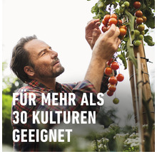 Universalpilzfrei Duaxo Compo, 75ml Reg.Nr. 3346-0