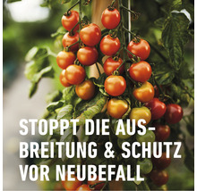 Universalpilzfrei Duaxo Compo, 75ml Reg.Nr. 3346-0