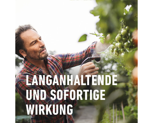 Ein Mann sprüht mit einer Sprühflasche Tomatenpflanzen, Text im Bild: Langanhaltende und sofortige Wirkung