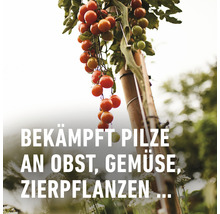 Universalpilzfrei Duaxo Compo, 75ml Reg.Nr. 3346-0