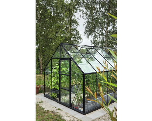 Gewächshaus mit Pflanzen im Garten