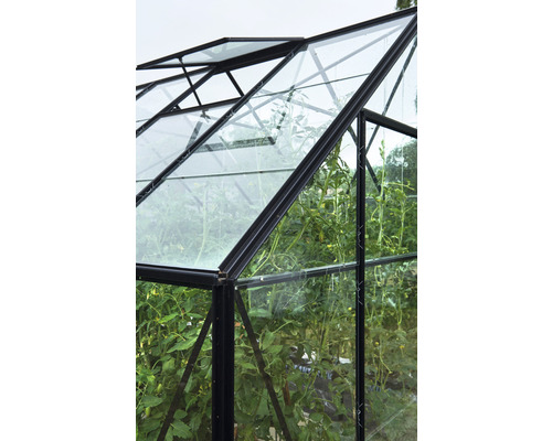 Gewächshaus mit Glasfenstern und Pflanzen