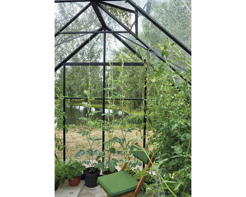 Innenansicht eines Gewächshauses mit Pflanzen und einem Stuhl