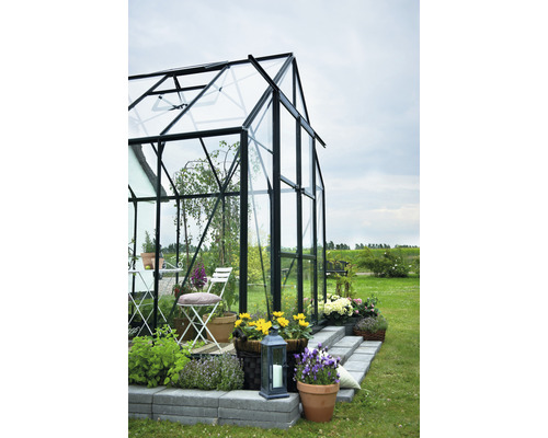 Gewächshaus mit Pflanzen und Gartenmöbeln im Garten