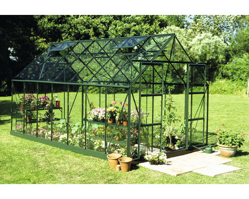 Gewächshaus mit Pflanzen und Regalen im Garten