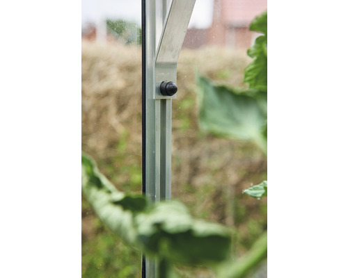 Detailansicht eines Gewächshauses mit Rahmen und Fenster