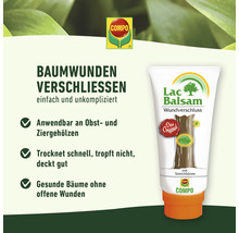 Compo Lac Balsam Wundverschluss zum Verschliessen von Baumwunden