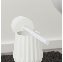 Weiße Toilettenbürste mit Behälter für die Badreinigung