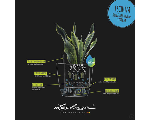 Grafische Darstellung eines Lechuza Bewässerungssystems mit Pflanze, Wasserstandsanzeiger, Einfüllschacht, Wasserspeicher und Überlaufschraube.