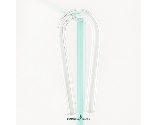 Dennerle Plants Blasenzähler aus Glas für Aquarien
