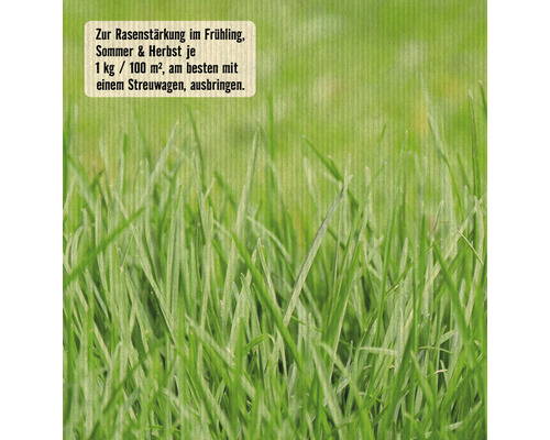 Nahaufnahme von Rasen zur Rasenstärkung im Frühling, Sommer und Herbst.