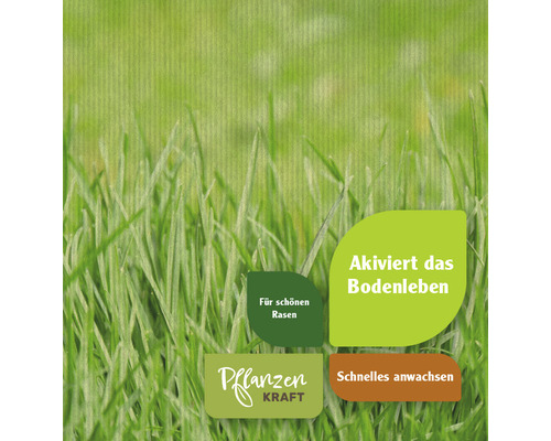 Informationen zur Aktivierung des Bodenlebens für schnelles Anwachsen und schönen Rasen