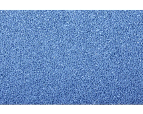 Nahaufnahme eines blauen Reinigungsschwamms