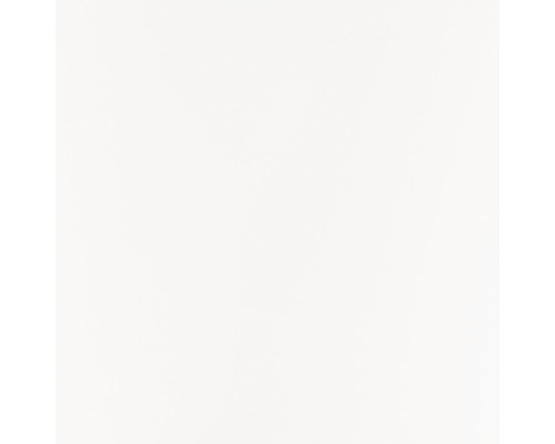 Weißer Hintergrund.