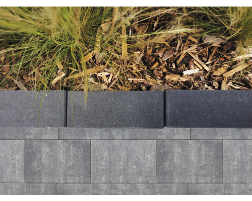 Gartenweg mit Rasenkante und Pflastersteinen