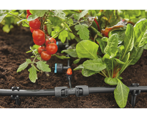 Bewässerungssystem für Pflanzen im Garten