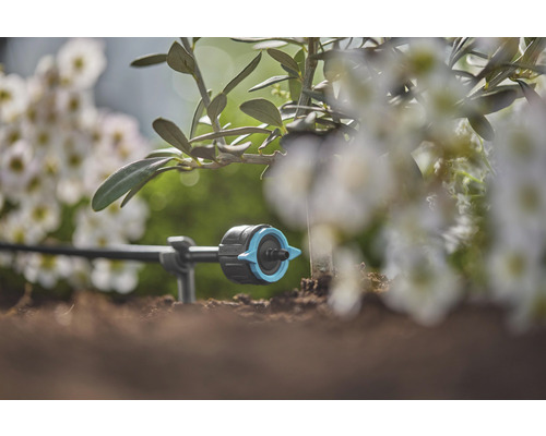 Tropfbewässerung im Garten zur Bewässerung von Pflanzen