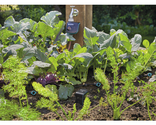 Gemüsegarten mit Bewässerungssystem und elektronischer Steuerung am Wasserhahn