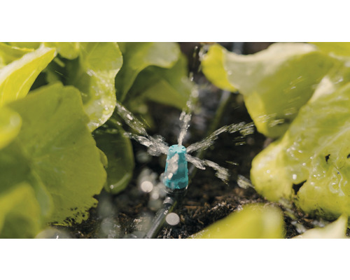 Bewässerungssystem mit Regner im Einsatz zwischen Salatpflanzen