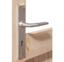 Türdrücker aus Metall an Holztür