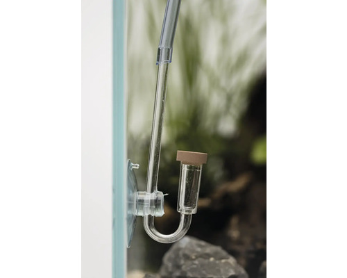 Aquarium CO2 Diffusor mit Saugnapf