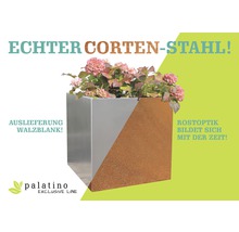 Pflanzrahmen Carlotta 80 x 80 x 25 cm Cortenstahl braun