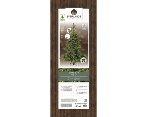 Verpackung einer künstlichen Grandis Tanne mit Beleuchtung von Everlands